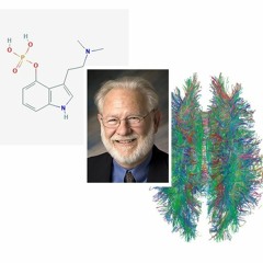 Waking Up to Psychedelic Medicine. Neuropharmacologist, David Nichols, PhD.