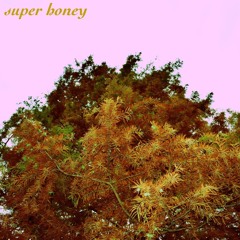 Super Honey (Prod. Wave MMLZ)