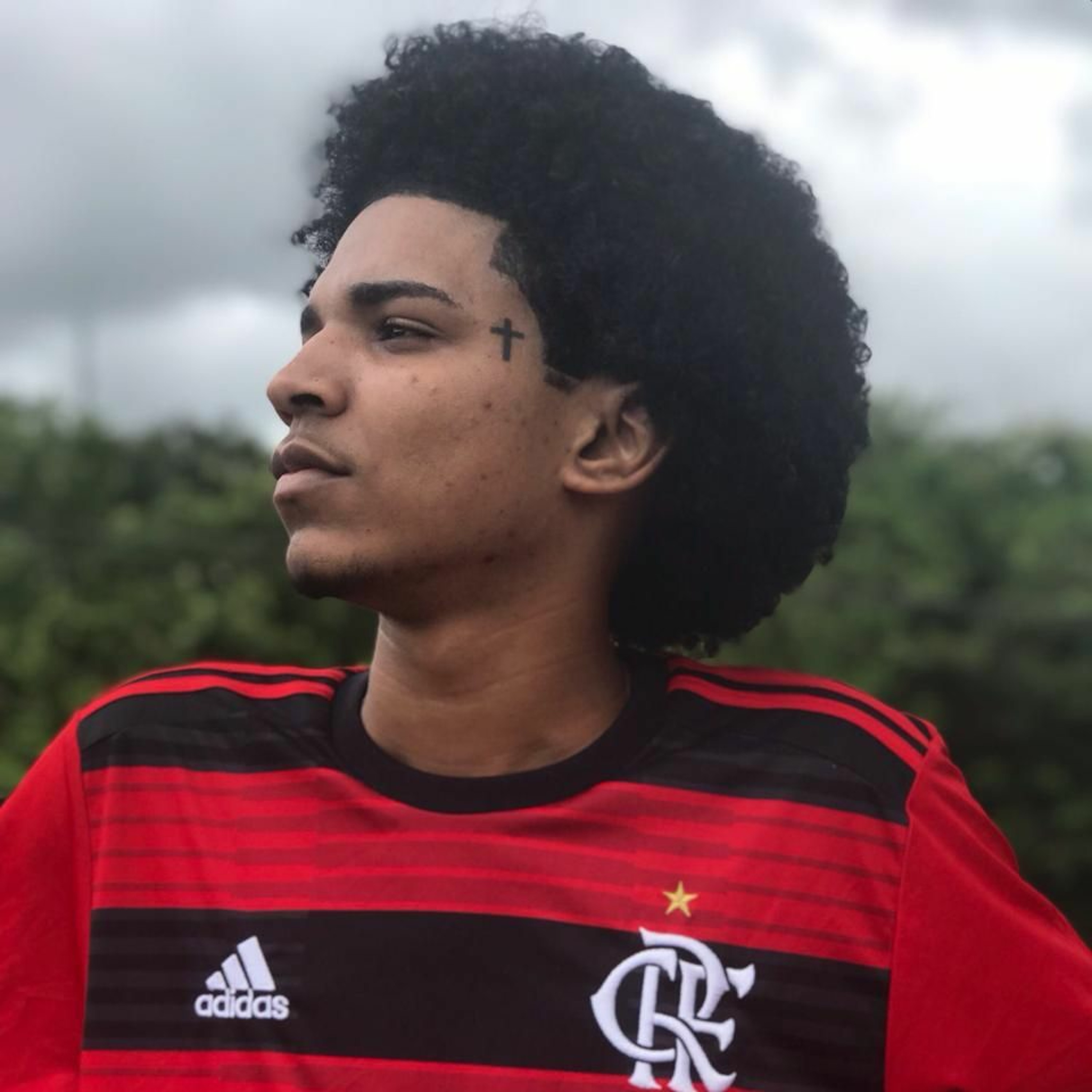 PL TORVIC - REI DO EMBRAZAMENTO
