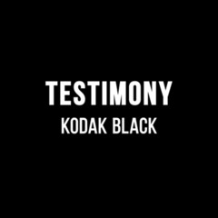 Kodak Black - Testimony (@NoTitleNikno)