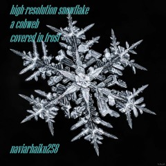 Ice star [naviarhaiku258]