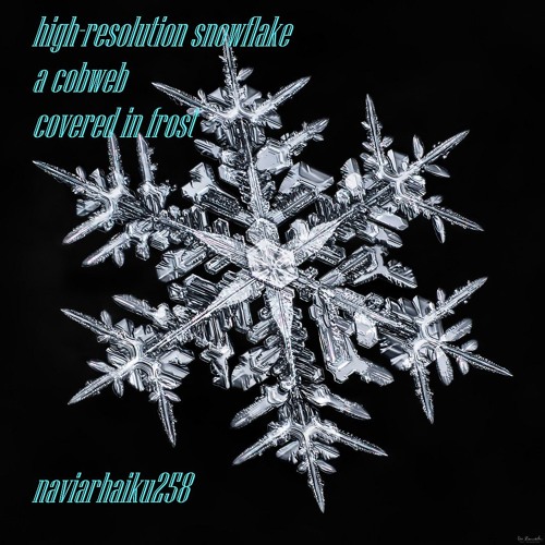 Ice star [naviarhaiku258]