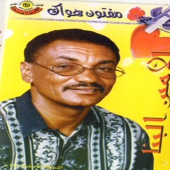 الامين البنّا - في الطيف أو في الصحيان