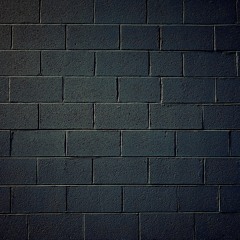 Losing Interest (ft. Shiloh)