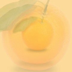 Nateybeats - Light Orange