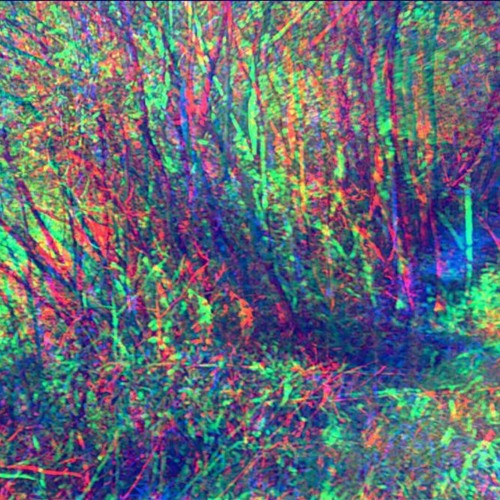 Charming (Prod. McNiffy)