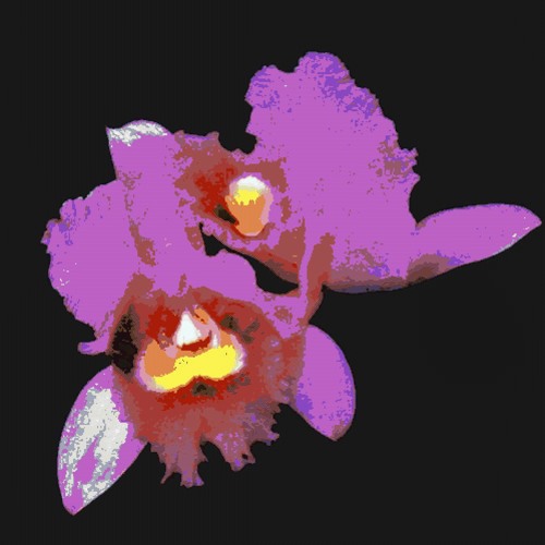 The Twilight Is My Robe (Minecraft Noteblock Cover)