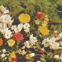 Bending Spirit - Flower Moon (excerpt)