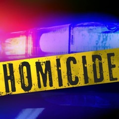 Homicide-LilSouth & YoungBleed