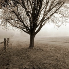 R3in-Sweater Weather