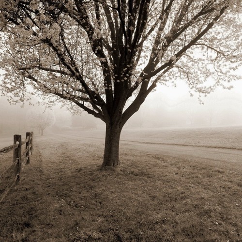 R3in-Sweater Weather