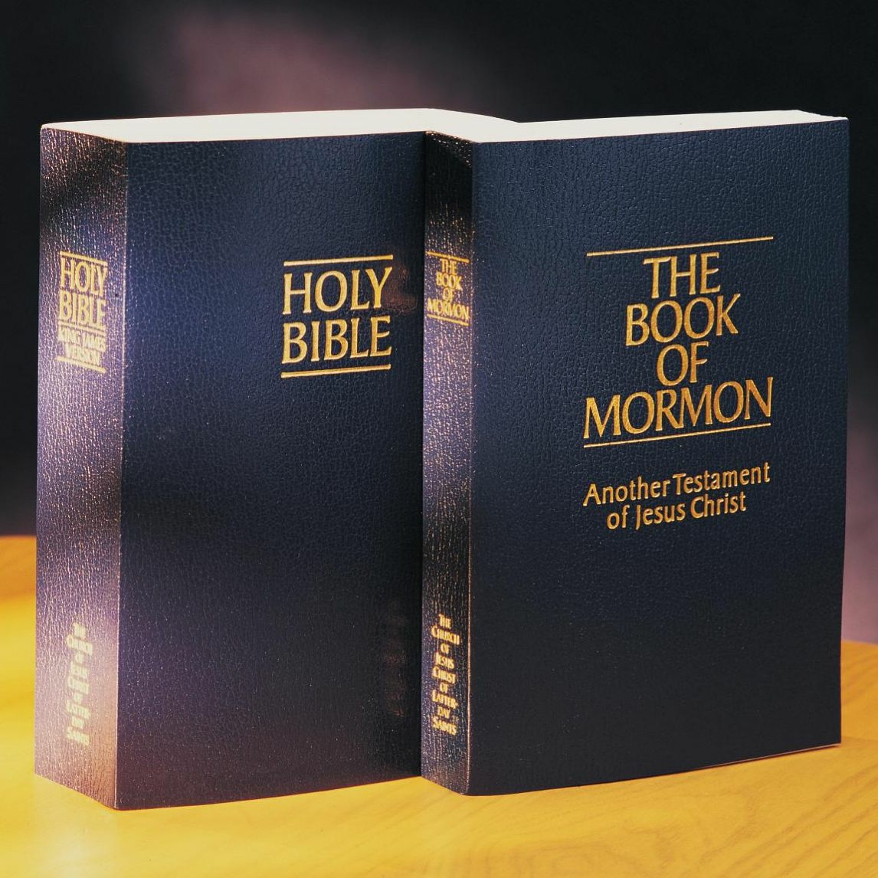 Why Is the Book of Mormon “Another Testament of Jesus Christ”? 494