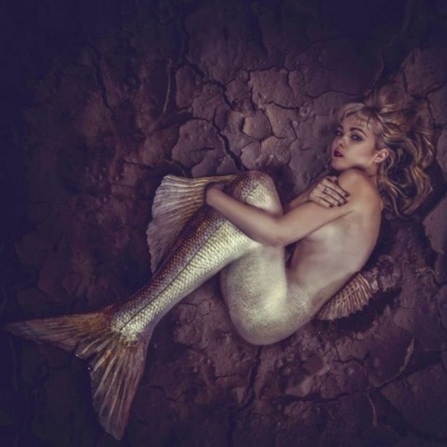 Reflections of a Siren mixed by Steph