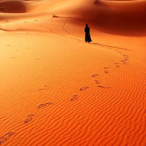 خليلي مرا بي على الأبرق الفردِ - قيس بن الملوح