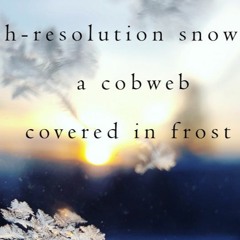 flakes of HD snow  - naviarhaiku258