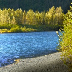 River Sounds For Sleep, Studying, Focus, Relaxation (75 Minutes)