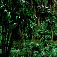 Relaxing Rain Sounds With Distant Thunder (75 Minutes)