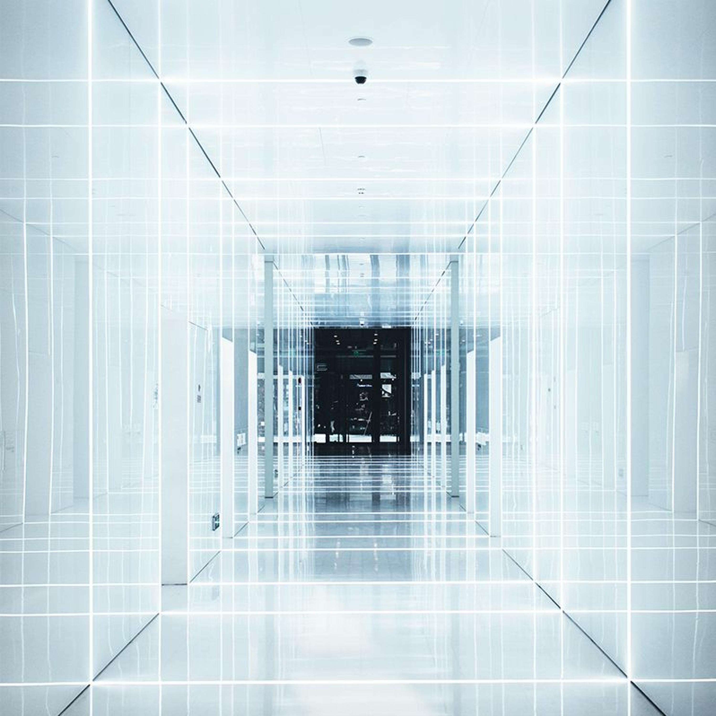 MLex Market Insight