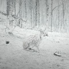 HER PRESENCE AND TIDES / John + Stangl