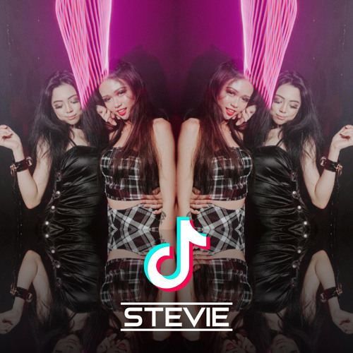 DJ STEVIE 2019 NEW YEAR 慢摇 TIKTOK MANYAO NONSTOP MIX | BEST OF 2018 | 可不可以 ● 沙漠骆驼 ● 烟火里的尘埃 ● 毕竟深爱过