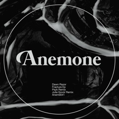 PREMIERE: Dawn Razor — Shantor (Psyk Cinematic Version) [Anemone Recordings]