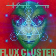 Flux Cluster