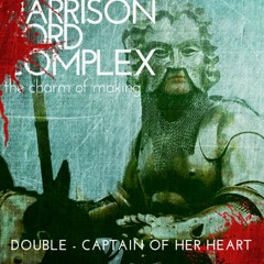 Double - Captain Of Her Heart