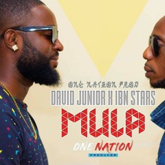 David Jr x Iben stars-mulla