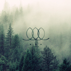 Meditation to Reconnect with the Here and Now