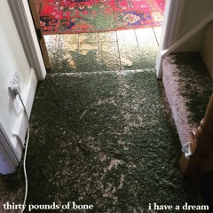 Thirty Pounds Of Bone - I Have A Dream