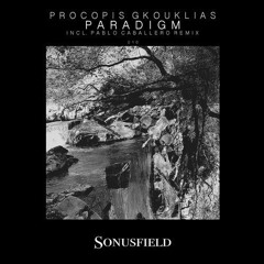 Procopis Gkouklias - Paradigm (Pablo Caballero Remix)