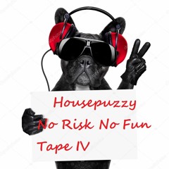 HousePuzzy No Risk No Fun Tape IV