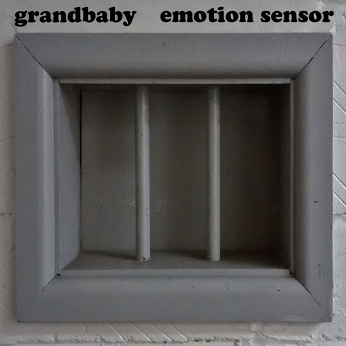 Emotion Sensor