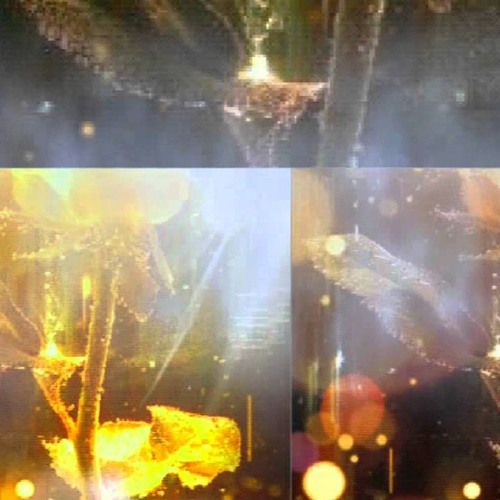 Whistle Edit (4B, Teez, Lotic)