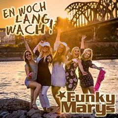 Funky Marys - En Woch Lang Wach (FanTom Bootleg) (FULL)