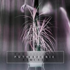 Levitation Jones - The Putrescence feat. Miatropolis (Out now via Bandcamp)