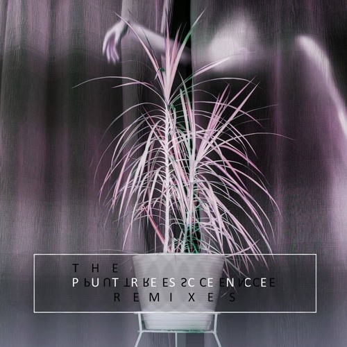 LEVITATION JONES - 27 (PARROTICE REMIX)