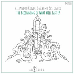 01 Alejandro Conde & Albano Bastonero - The Song Of The Sad Birds (Original Mix) [AMIT003] Previews