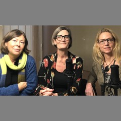 #4. Perspektivumgänge mellan folkhälsa, jämställdhet och barnets rättigheter