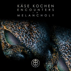 PREMIERE: Käse Kochen - Carry On (feat. Leumas) (Original Mix) [Stone Seed]