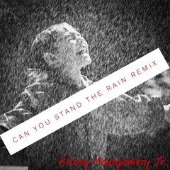 CAN YOU STAND THE RAIN REMIX
