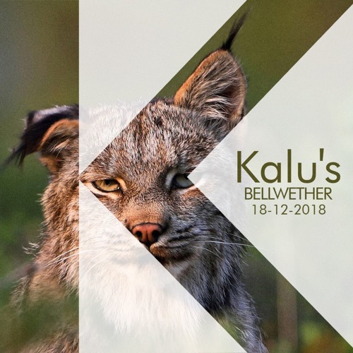 Kalu's - Bellwether | 18.12.2018 [Live Mix Recorded 15.12.2018]