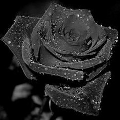 Nicky P X Jimmy Bando - Black Rose.mp3