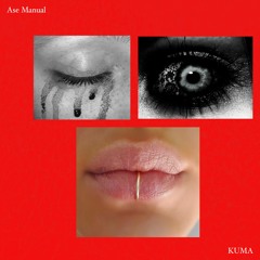 Ase Manual - Kuma