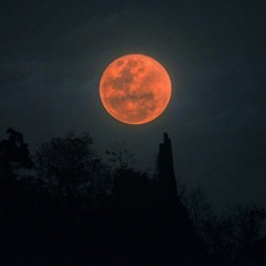 Vampire bxy