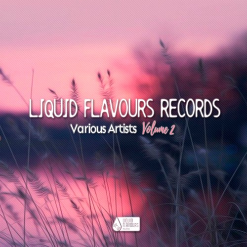 VARIOUS ARTISTS VOL. 2 (LIQUID FLAVOURS) (EP) 2018