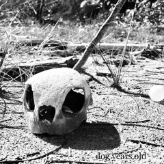 Ritchie Dog Years (Remastered)