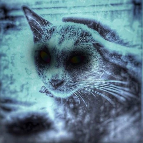 (2019 WITCH HOUSE MIX) In the Dark Was a Noise