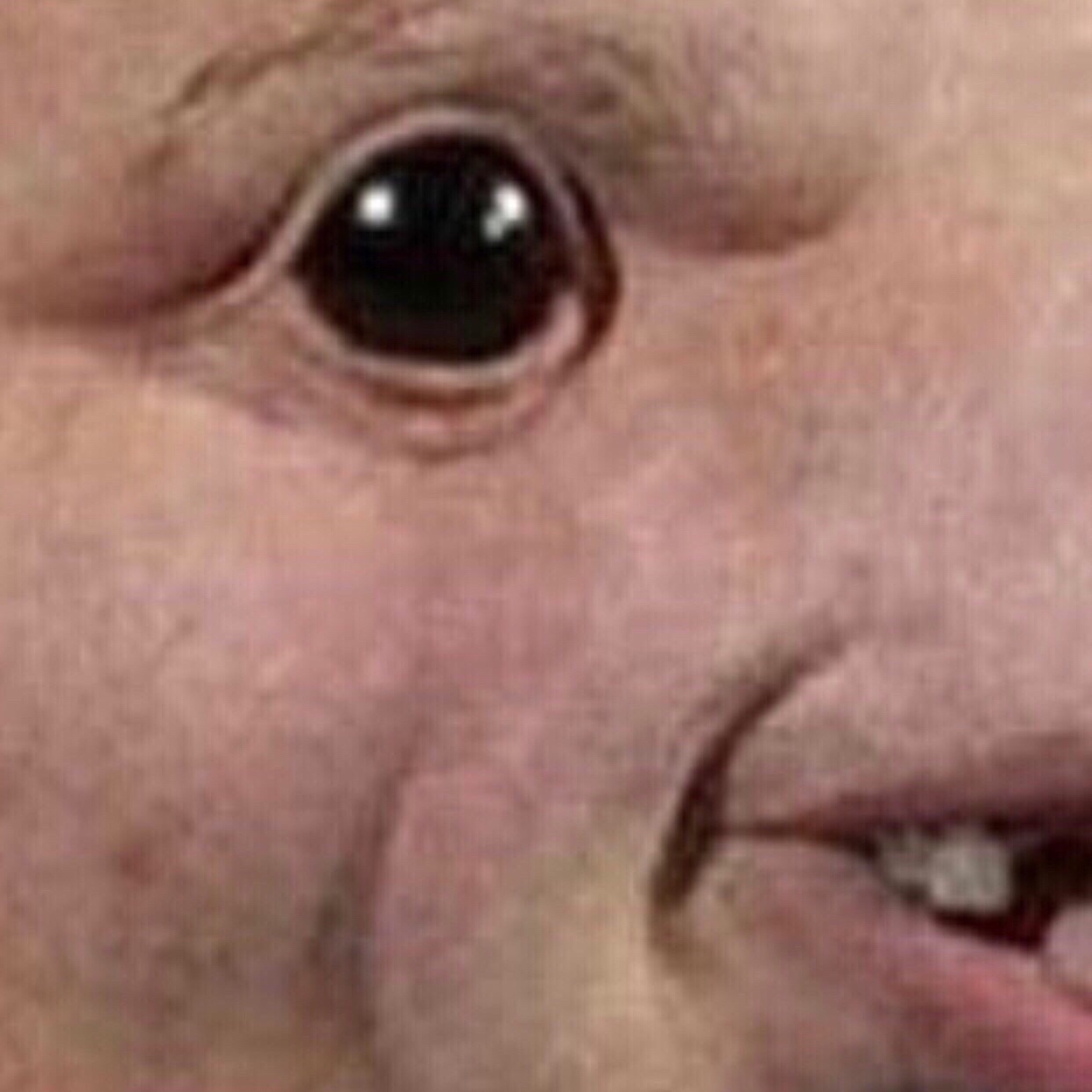 AndySleez