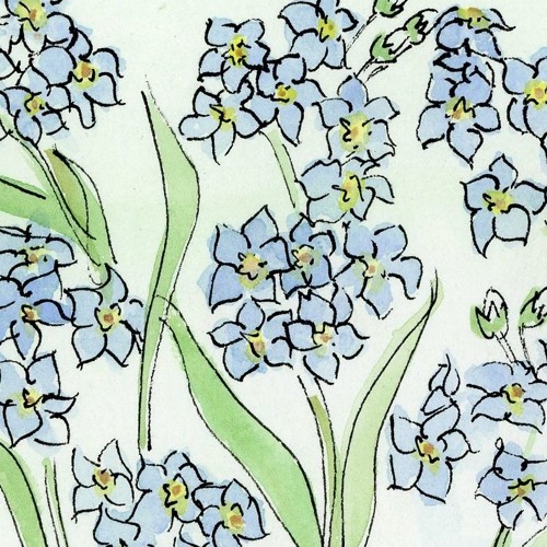 forgetmenot - sum1 else